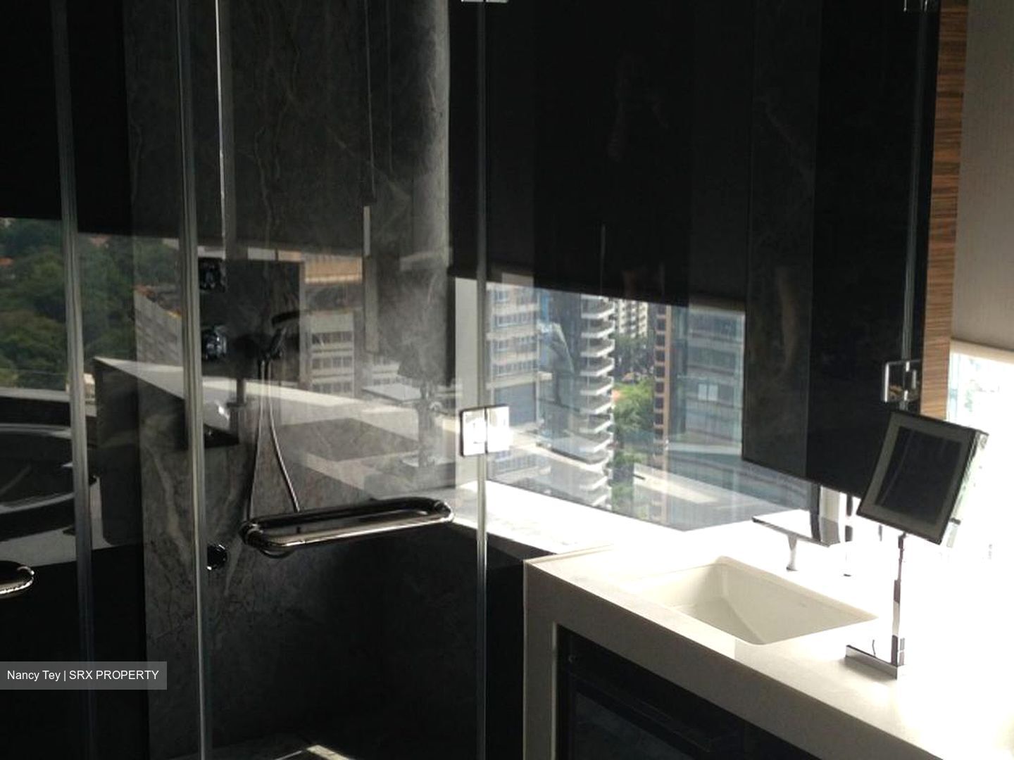 The Orchard Residences (D9), Apartment #288261021